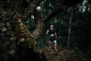 BIB: 
                            <button type="button" onclick="openModal(25695230)" class="btn btn-primary btn-sm float-right btn-popup" data-toggle="modal" data-target=".modal-high-quality">
                        <i class="fas fa-shopping-cart"></i> Add to Cart
                    </button>
                                            <button type="button" onclick="isThisMe(25695230, true)" class="btn btn-success btn-sm float-right btn-popup btn-isme hidden" data-toggle="tooltip" data-placement="bottom" title="นี่คือรูปของคุณใช่ไหม คลิกที่นี่เพื่อเอาเข้าอัลบั้ม">
                        <i class="fas fa-plus"></i> Add to album
                    </button>
                    <button type="button" onclick="isThisMe(25695230, false)" class="btn btn-warning btn-sm float-right btn-popup btn-isnotme hidden">
                        <i class="fas fa-ban"></i> Remove from album
                    </button>